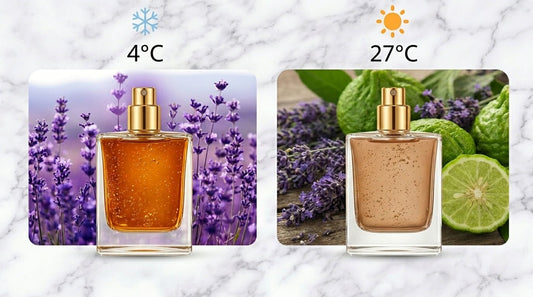 Summer vs Winter Perfumes: Choosing Scents for Every Season - BANNABIZZ